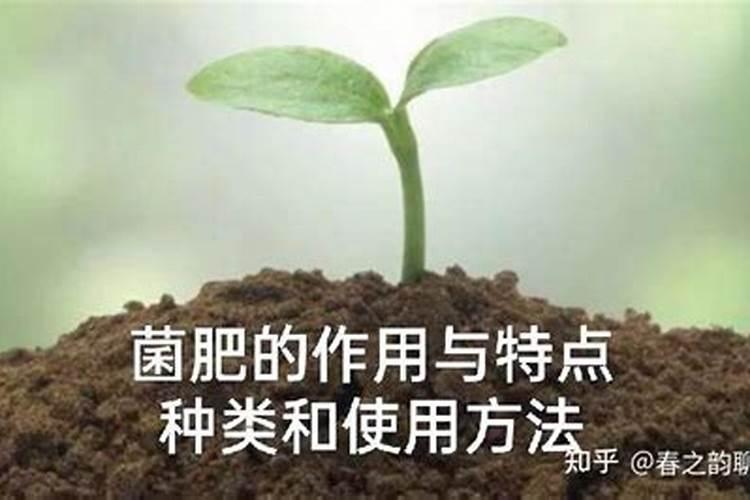 买花送的肥怎么使用正确,绿叶宝肥料使用方法