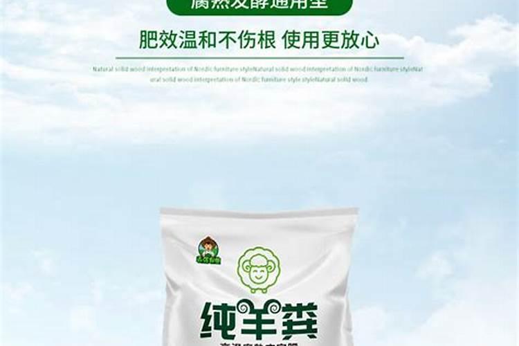 种植毛竹的肥料多少钱一吨