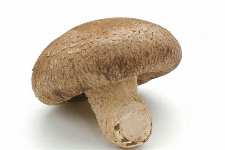 花叶病毒病用什么农药