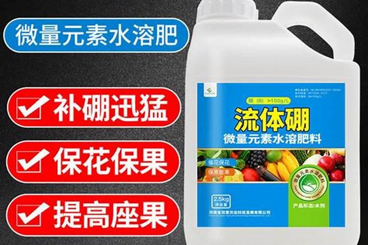 在温室大棚里面种植蔬菜,它栽培技术是什么？