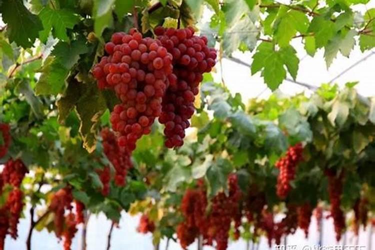 零食排行榜前十名:巧克力上榜,第一是8090后的经典零食