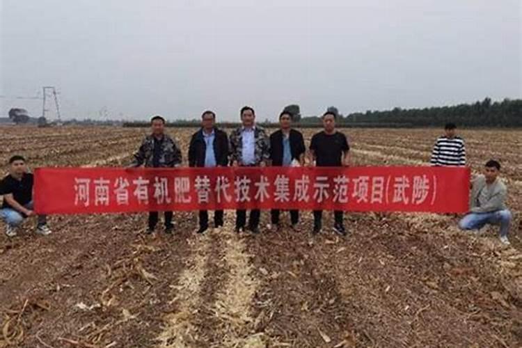如何使蔬菜远离肥料污染