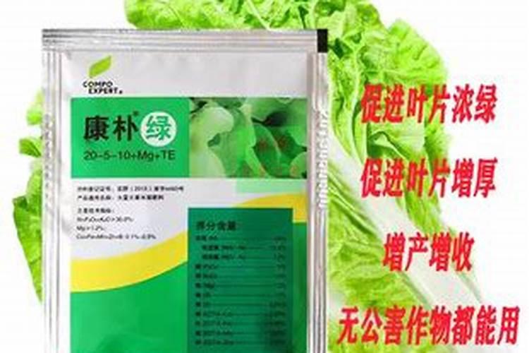 银川蔬菜大棚承包是真的假的