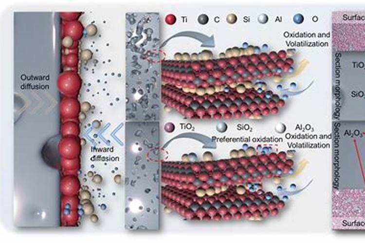 家里种的香菜出现大量死亡的情况,这是什么原因造成的？