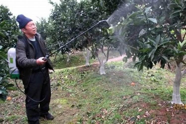 香菇栽培,如何给菌棒科学注水？