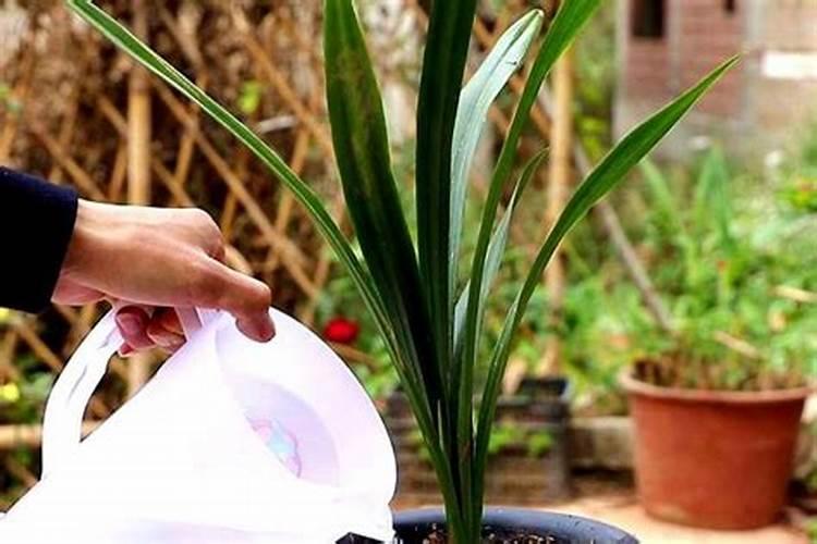 如何降低噻氟酰胺对斑马鱼的毒性