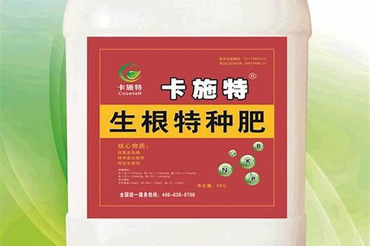 黄瓜叶片薄怎么调理