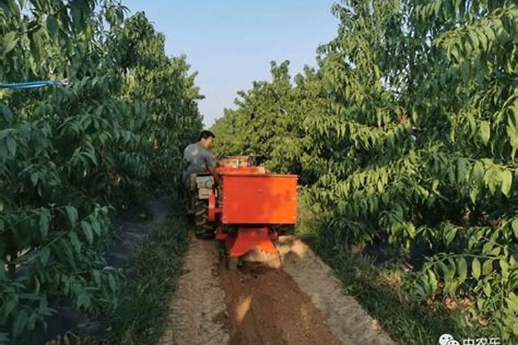 含有缩二脲的复合肥对作物有伤害吗