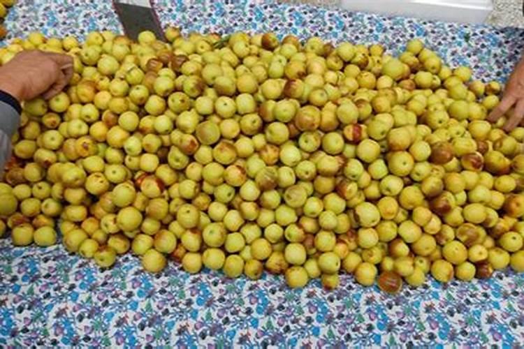 四川的桶装水品牌哪个最好？