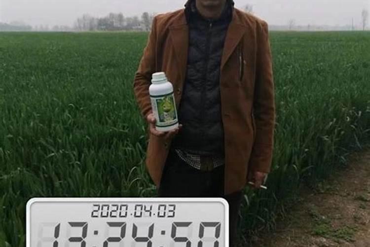兰花多久浇一次肥料？