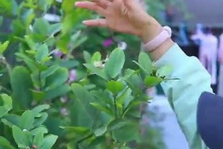 复合肥料有毒吗