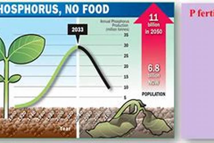 氯化钾的化学式