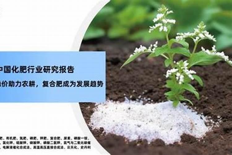 滴灌水溶肥,周大哥说不错