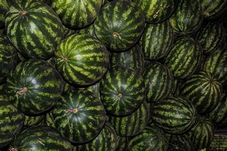 玉米开花结果时需要施什么肥