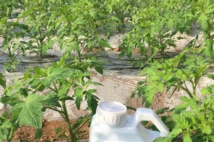 硝态氮肥有什么好处和坏处