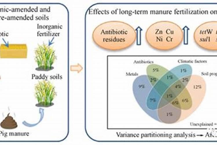 2023年全省市场监管民生领域“铁拳”行动典型案例(一)