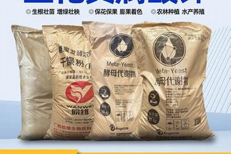 春玉明什么时候种好