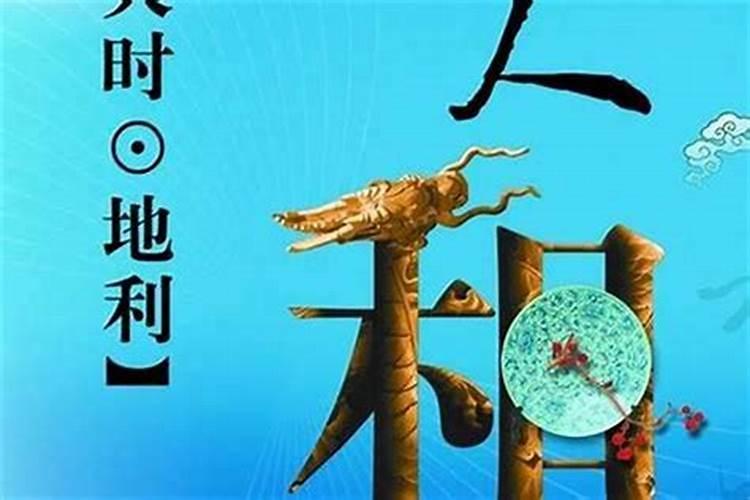 大樱桃车厘子,黄蜜,泰彤这三种樱桃树,种植在一起授粉吗？