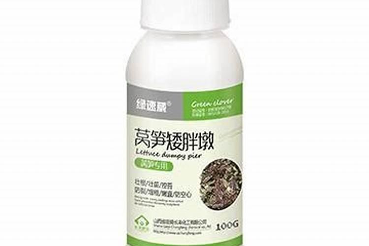 油柑树种植方法
