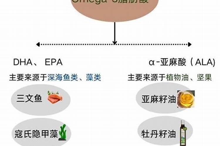 一种海藻肥的制备方法
