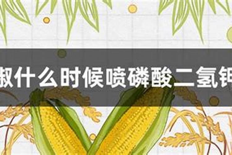 硼肥加磷酸二氢钾效果,硼肥是酸性还是碱性