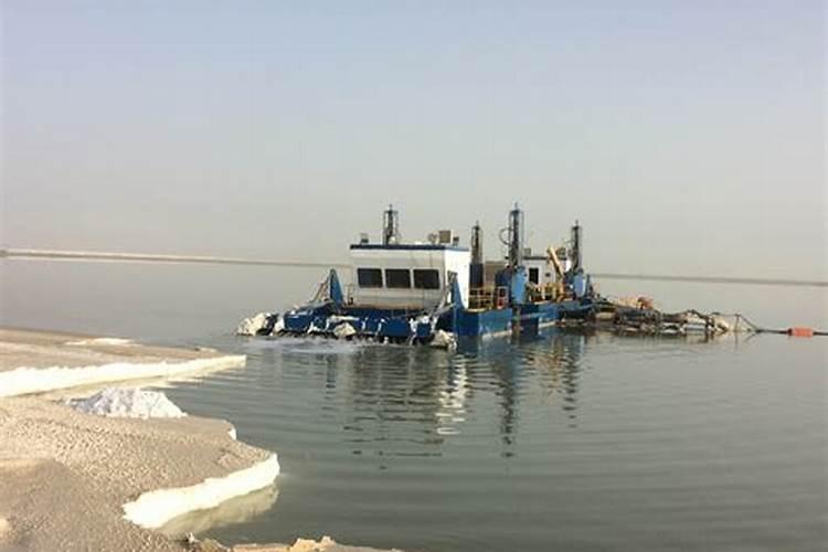 蓟马药什么时候打效果最好