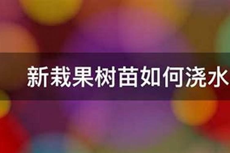头一年栽的果树苗可以施肥么