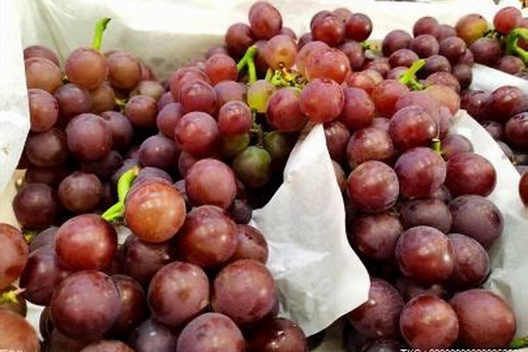 黄豆当肥料施在葡萄秧有什么好处