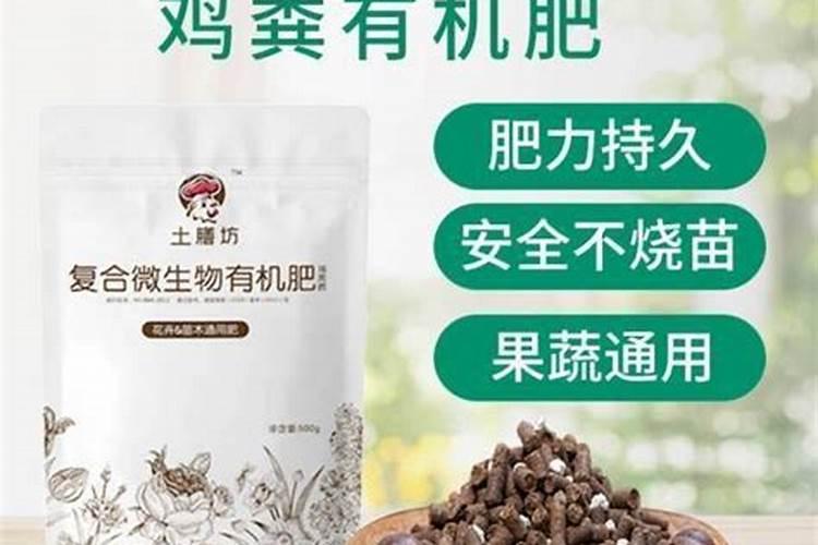 牡丹施肥时间