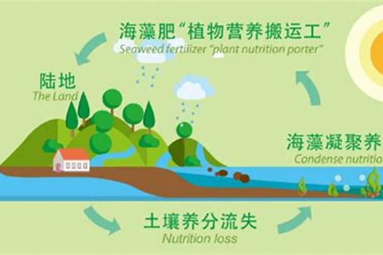 海澡肥主要养分是什么