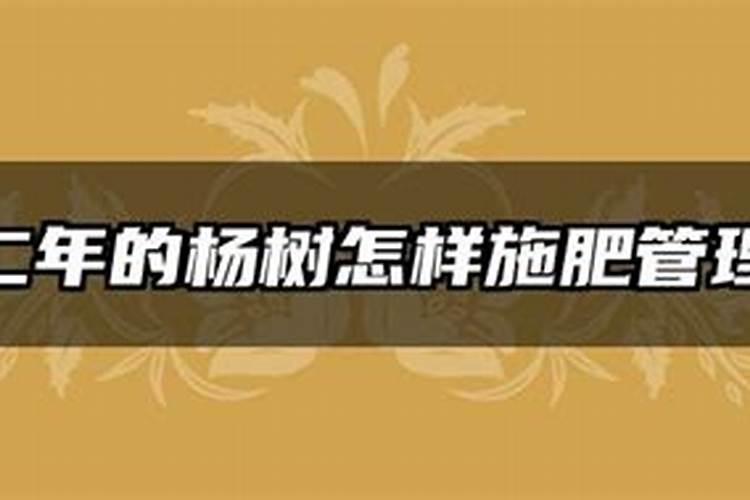 白杨树用什么肥料长的最快？