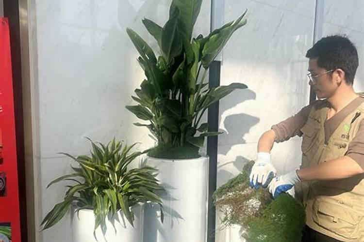 大量元素水溶肥掌握4点使用方法