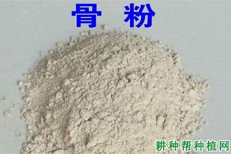骨粉肥料适宜什么花栽种