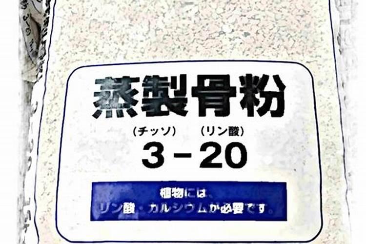 养花的十大最佳肥料
