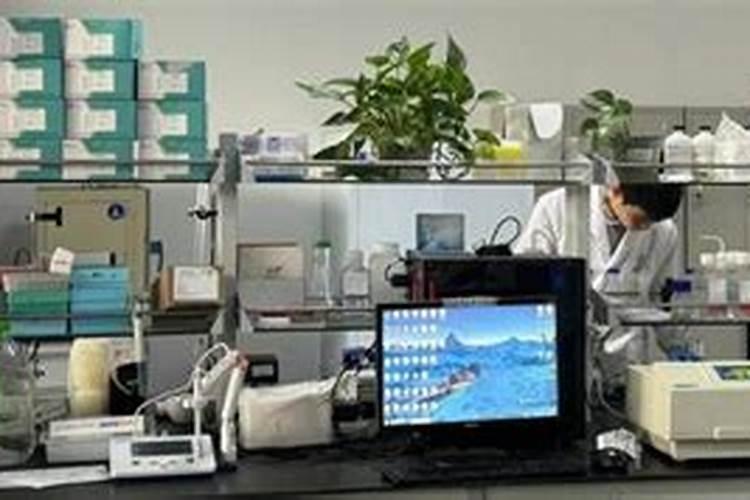 有机肥的化学组分