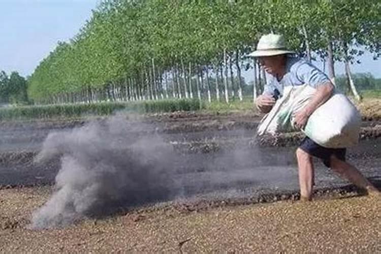 磷肥怎样使用才是正确 磷肥的使用方式