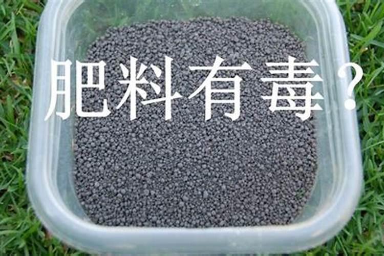 蔬菜晚上施肥好还是早上施肥好(种菜什么时候施肥好)