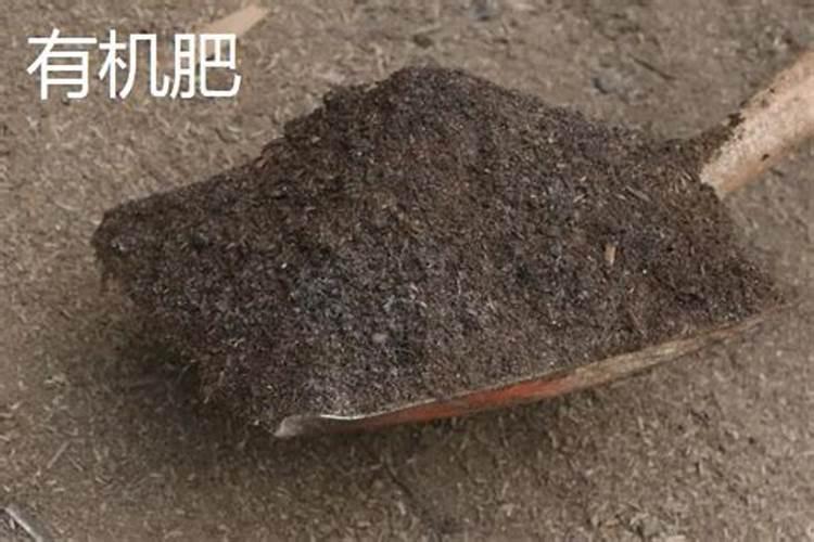 哪种肥料不属于有机肥料,有机肥料和无机肥料的区别