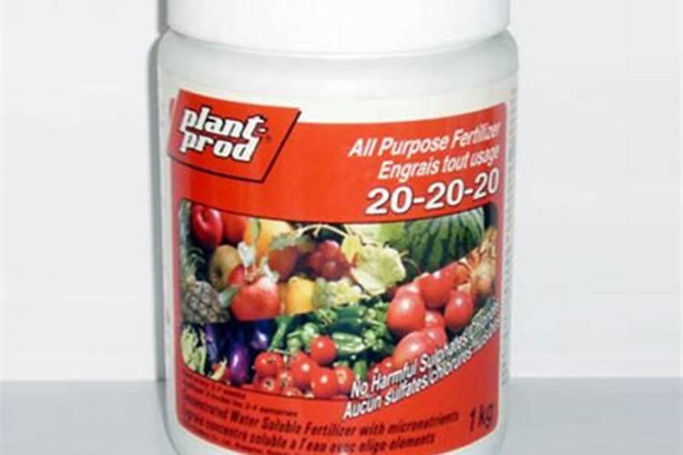 家种的小西柿己开很多花要每天浇水吗？请问