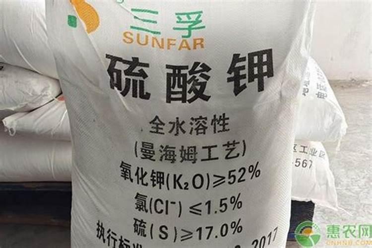 节瓜有什么营养 吃了到底好不好