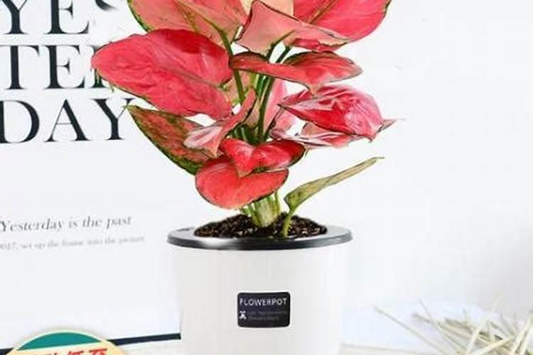 酸性土壤改良方法用什么肥 土壤酸性过高怎么施肥改良