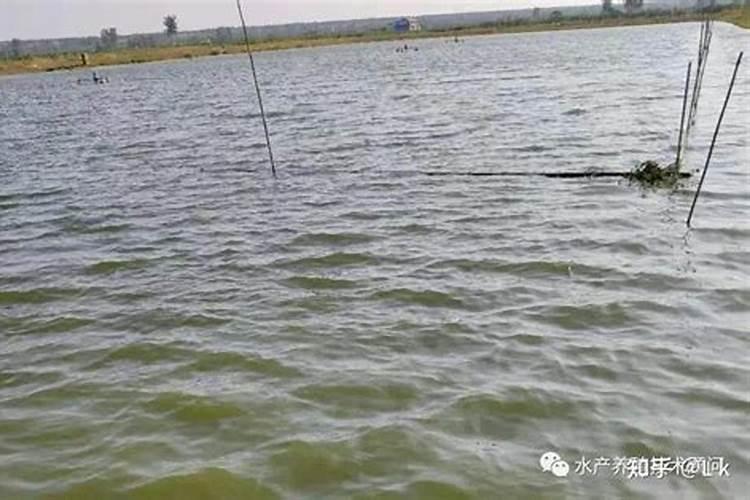 大豆用什么复合肥好