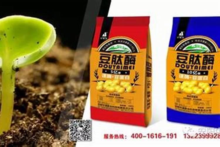 虎尊化肥是杂牌还是名牌