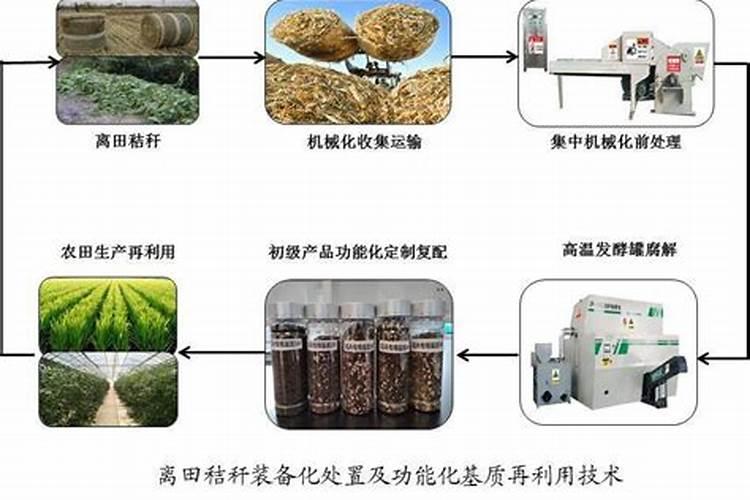 秸杆怎么做肥料啊？