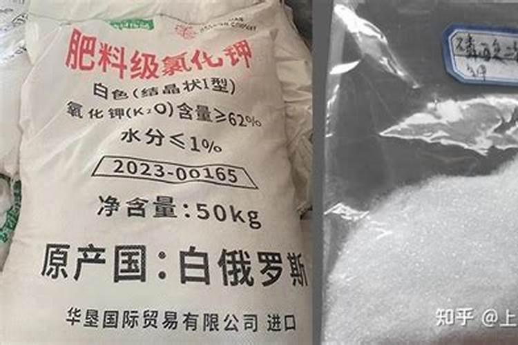 岳西思远农业的桑枝木耳凉拌好吃还是炒着好吃呢？