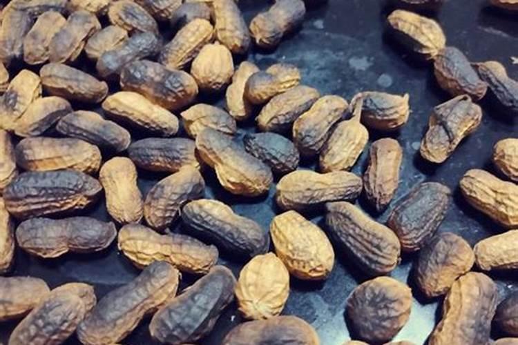 宁波奇丰木业有限公司怎么样？