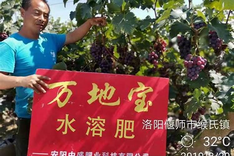 怎样区分氮肥和磷肥和钾肥