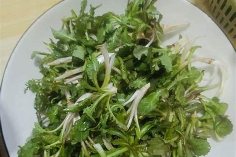 我的向日葵缺硼,可是家里没有硼肥,可以用含硼的东西代替吗？有什么物质...