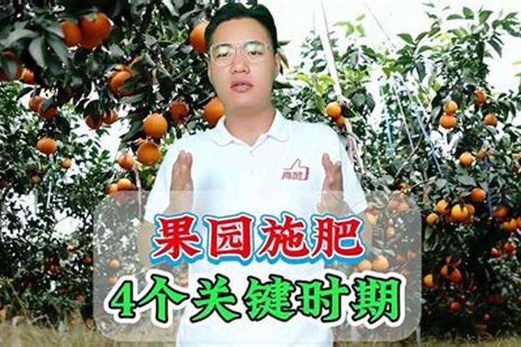 果树如何秋施基肥