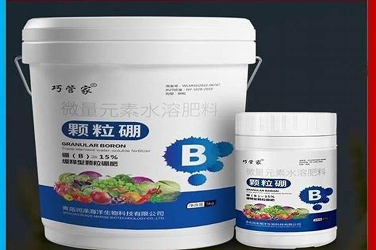 硼肥什么时候用效果好叶类菜